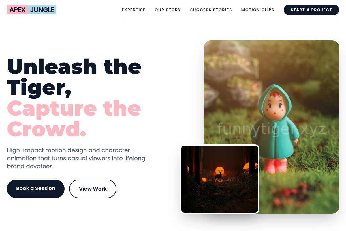 Portfolio Animation